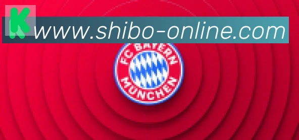世博体育官网合作伙伴